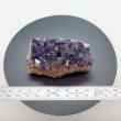 画像2: アメジストクラスター（ウルグアイ産）138g -Amethyst Cluster- URUGUAI (2)