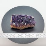 画像2: アメジストクラスター（ウルグアイ産）138g -Amethyst Cluster- URUGUAI (2)