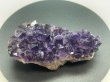 画像1: アメジストクラスター（ウルグアイ産）175g -Amethyst Cluster- URUGUAI (1)