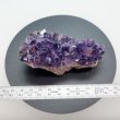 画像2: アメジストクラスター（ウルグアイ産）175g -Amethyst Cluster- URUGUAI (2)