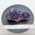 画像2: アメジストクラスター（ウルグアイ産）175g -Amethyst Cluster- URUGUAI (2)