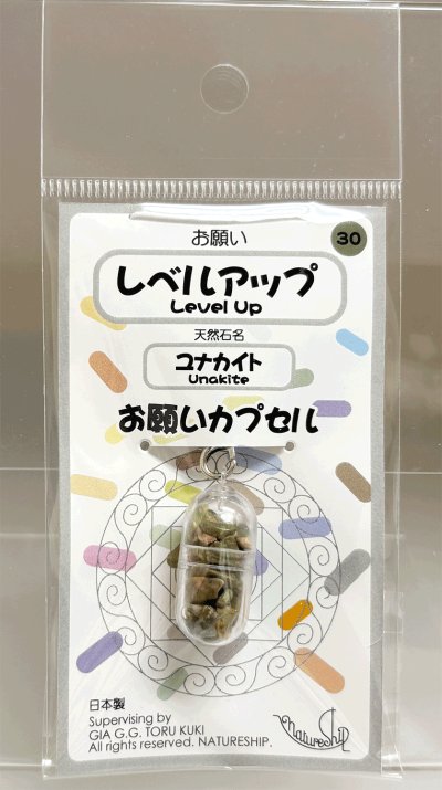 画像1: 30(レベルアップ・Level Up)；ユナカイト・UNAKITE／天然石お願いカプセルストラップ：日本製・JapanMade