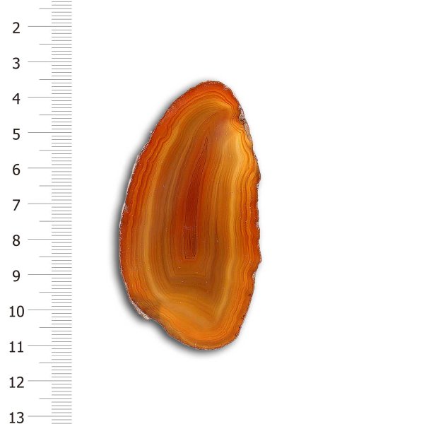 画像1: メノウスライスプレートミニ(オレンジ) (1)