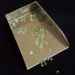 画像2: ペリドット/丸玉片穴3mmφ2個セット(サイズペアリング済) (2)