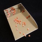 画像2: 天然サンゴ/丸玉片穴3mmφ2個セット(サイズペアリング済) (2)