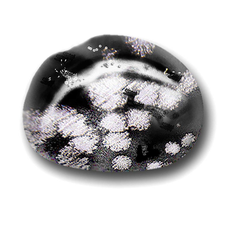 画像1: スノーフレークオブシディアン/タンブルM (1)